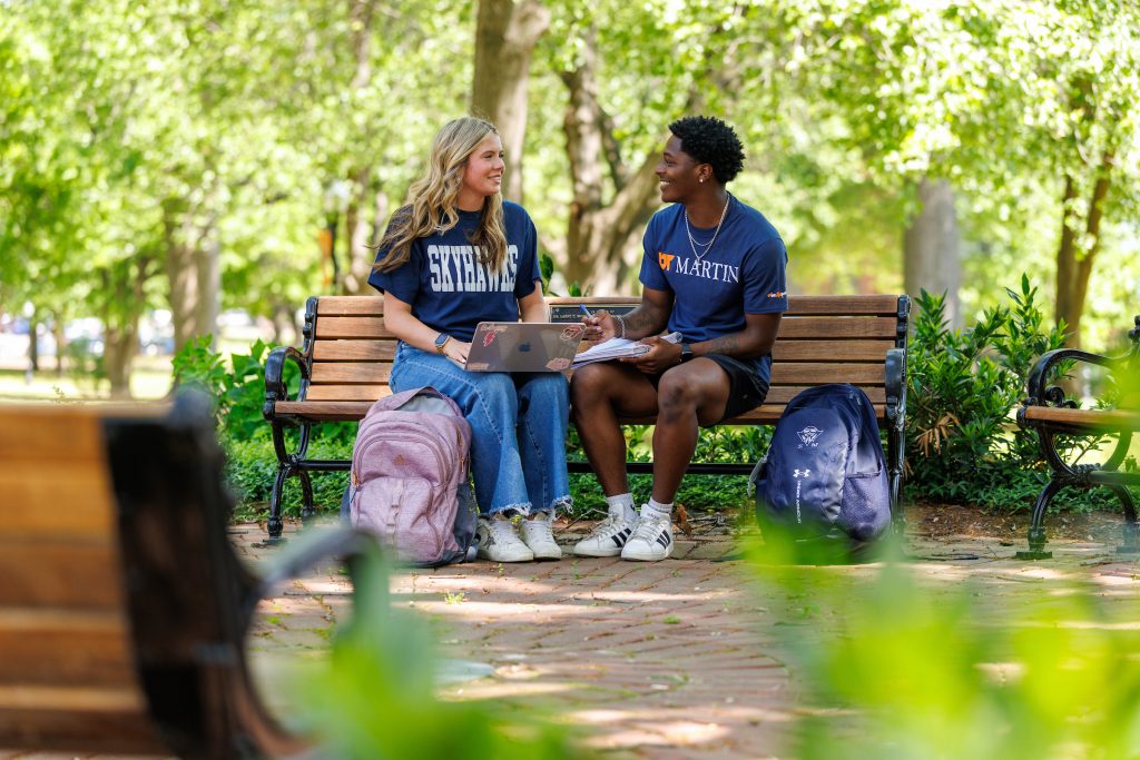 BIS degree is flexible, tailor-made for students