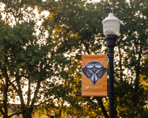 A UT Martin banner is shown affixed to a light post on a sunny day.