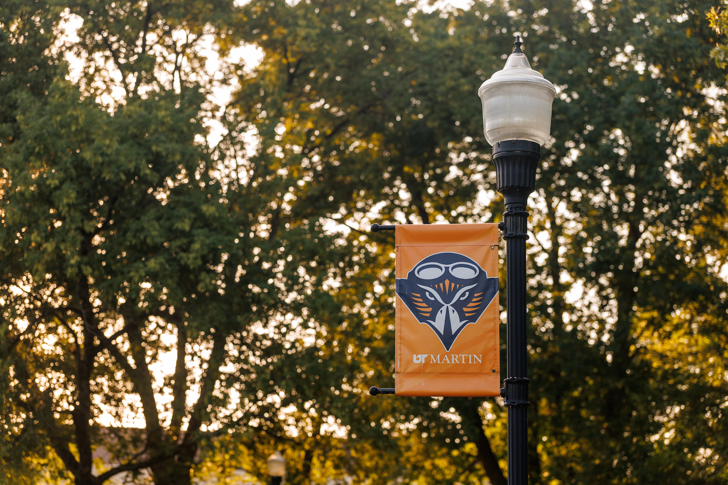 A UT Martin banner is shown affixed to a light post on a sunny day.