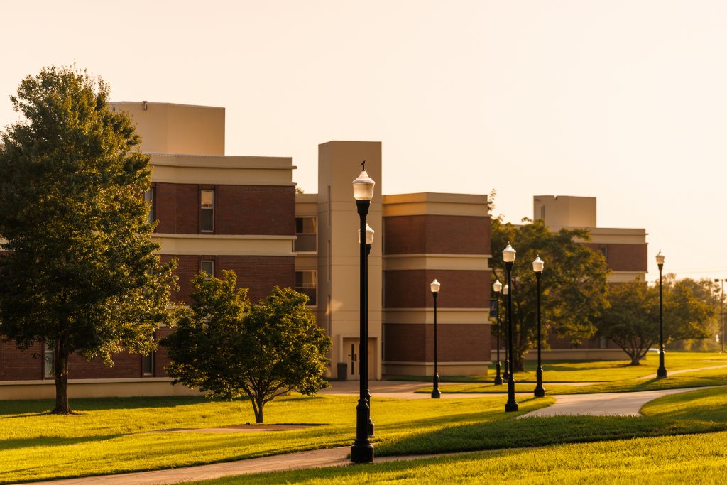 Eight faculty members receive awards - UT Martin News