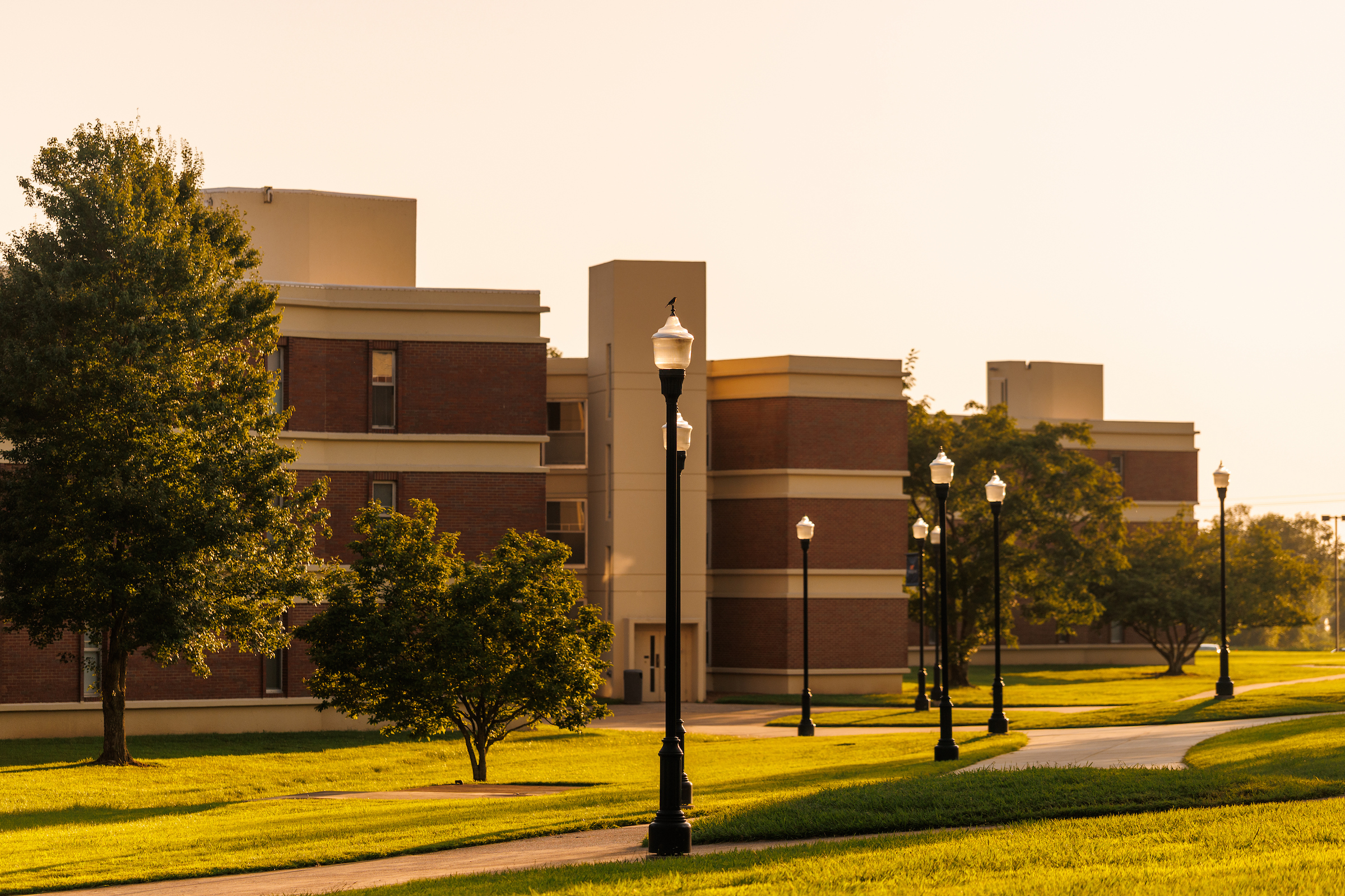 A building and lampposts along a sidewalk are shown.