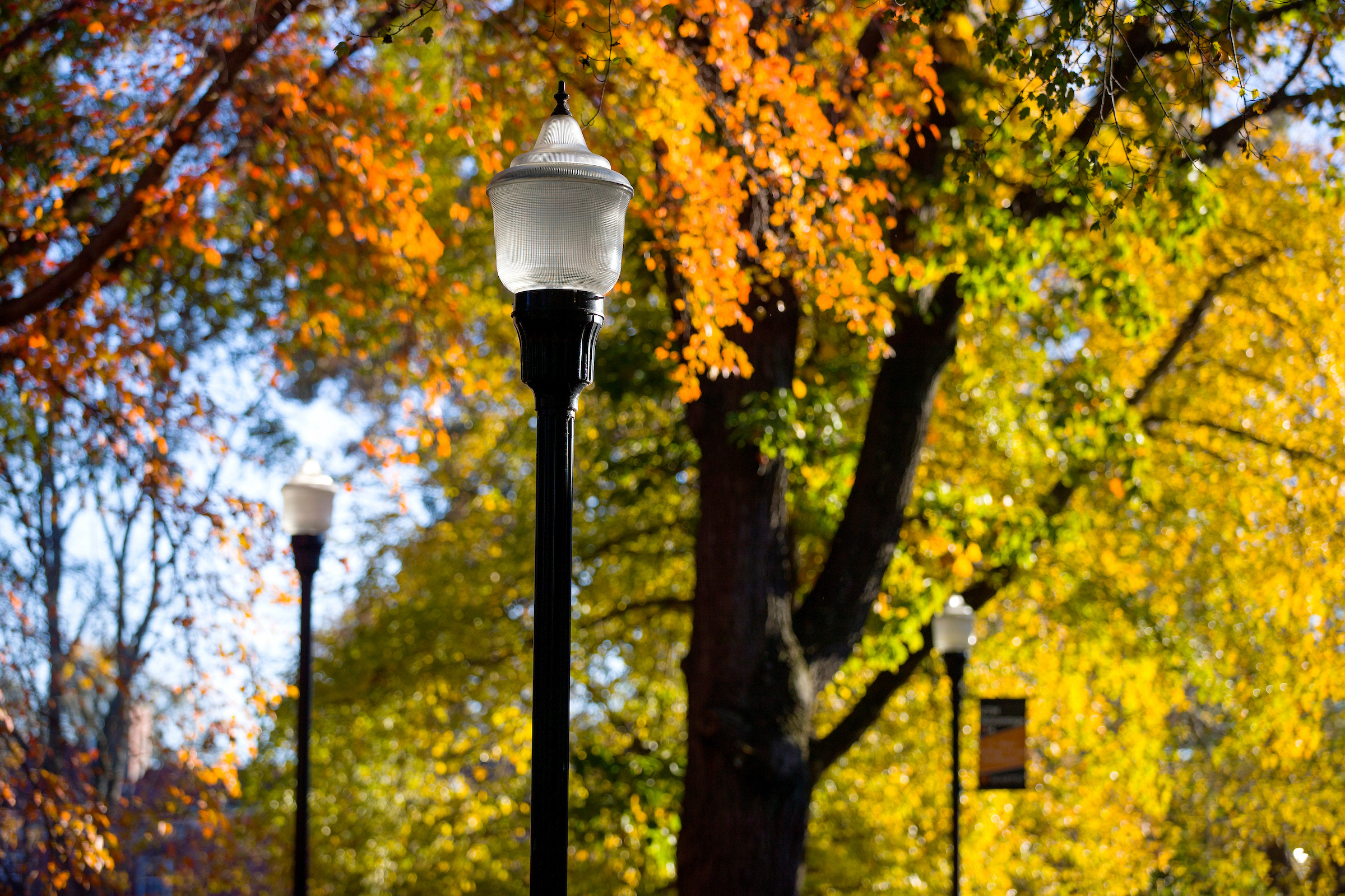 A lamppost is shown in front of fall folliage.